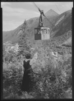 110. Rjukan - no-nb digifoto 20151127 00156 NB MIT FNR 14082.jpg