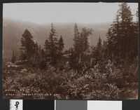 31. Rjukan I.Ø.A 4. Fordelingsbassinet - no-nb digifoto 20160412 00141 bldsa EYDE 5 07B 046.jpg