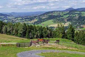 Roa utsikt 040721.jpg