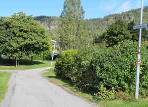 Rognebærstien Bærum 2020.JPG