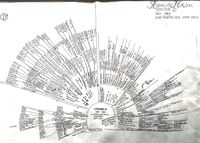 Rognlienslekten 1 sektor D. Satt opp av sivilarkitekt Dag Rognlien 1993.