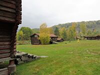 Motiv fra Rollag bygdetun. Foto: Stig Rune Pedersen (2020)