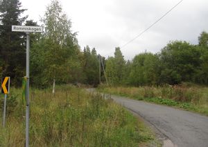 Rommiskogen Oslo 2013.JPG