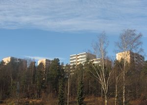 Romsås Oslo 2011.JPG