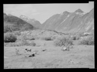 49. Romsdal, Isterdalen - no-nb digifoto 20150219 00183 NB MIT FNR 16467.jpg