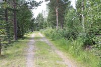 Vegen frå Lesjaskog kyrkje mot Skulemuseet i Lisser.