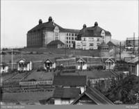 Skolen med Rodeløkkens kolonihager i forgrunnen, mellom disse går Rosenhoffgata. Foto: Anders Beer Wilse/Oslo Museum (1919).