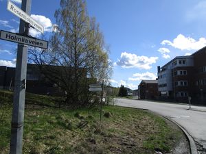 Rosenholmveien Oslo 2015.jpg