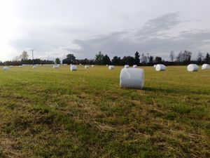 Rundballer Bliksetenga 2011.jpg