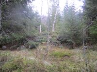 Ei av rydningsrøysene ved plassen.