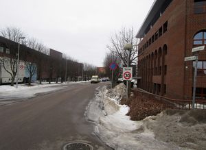 Ryenstubben Oslo 2015.jpg