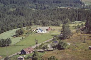 Sæterbakken under Sæter søndre Kongsvinger 1961.jpg