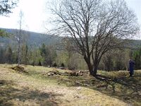 Søberg med hustufter sett mot syd og Roan. Foto: Olav Momrak-Haugan 2006.