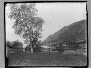 Søholt Sønmøre - NB MS G4 0045.jpg