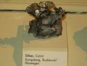 Sølv fra Kongsberg sølvverk utstilt på Museum für Naturkunde i Berlin. Foto: Stig Rune Pedersen