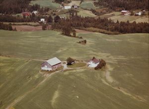 Sønju i Bingen - WF502.jpg