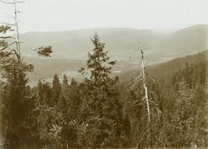 Sørkedalen, Oslo - Riksantikvaren-T046 02 0140.jpg