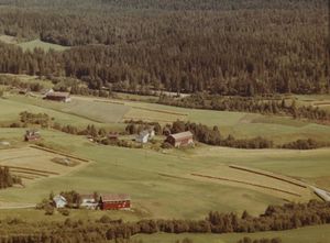 Sørli - Bingen WF495.jpg