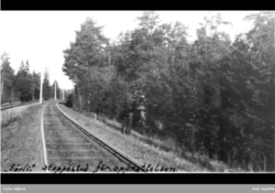 Den dobbeltsporete traséen fra 1931 ved Sørli før holdeplassen ble bygget i 1936. Foto: Oslo byarkiv (1931-1936).