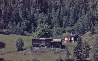 Sørsvartskurden 1971 (sf-2014-001-059).jpg