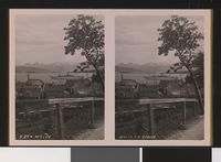 80. S. 27 - Molde stereofotografi - no-nb digifoto 20150803 00289 bldsa stereo 0579.jpg