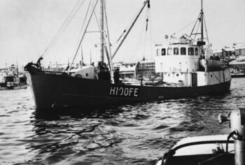 M/S «Gullmark» H.100-FE, byggeår 1954, 67,7 fot lang, motor 300 HK Wickman. Eigarar 1965 – 1970 Thorleif Gullaksen, Karstein Storemark og Leif Tangen.