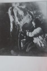 Olufine Husa (5) mjølkar kua, truleg på stølen i Husøyna.