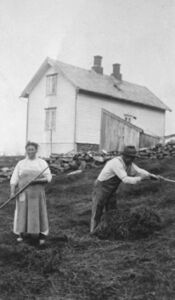 Fina og Ole Husa (8) i slåtten, huset til bnr 62 bak.