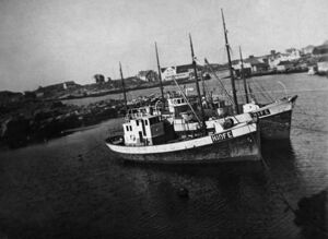 Bakarst M/S «Nordøysund», så M/S «Hellesøy», framme M/S «Feiøy» H-10-FE, byggeår 1948, lengd 65 fot, motor 50 HK Wickman. Eigarar Arthur Husa, Johan Olsen Husa, Karl Kristensen og Albert Husa. Dei hadde òg ein annan «Feiøy» H-10-AM, byggeår 1936, lengd 60 fot, motor 40 HK Wickman. Arthur reiste til Shetland med den i 1941, med mange feiingar om bord, sjå Fedjeb. s 270. Denne båten forliste i 1943.