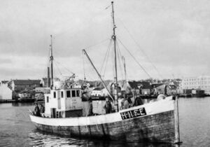 M/K «Finn» H-116-AM, byggeår 1920, lengd 47 fot, motor 30 HK Wickman. Eigarar Mikal Eide, Mikal Tangen, Elias, Oluf og Olai Ophaug. Båten vart ombygd i 1948 med lengd 60 fot og motor 40 HK Wickman. Dei nye eigarane var Gotfred, Georg og Karl Tangen, seinare Gotfred og Georg Tangen.