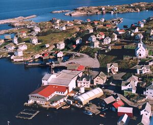 Flyfoto 1988. Framme Muren med fryseriet til venstre, ferjekaien bak der. Bak frå venstre: Børhaugen, Brotet, Vika, Opphaugen (litt bak), Stuberg, Grenda, Kopper. Bakom er Tangane og Berge, og heilt bakarst Rognsvågen. Foto: Aeronor