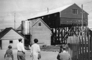 Steinborg, til høgre «Hengjo» til tørking av m.a. størjenøter i 1950-åra. Den vart riven då nausta til Stuberg vart bygde her.