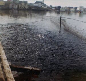 S422.170.3.CD 12 035.jpg