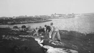 Bygging av kvalstasjonen på Svena.