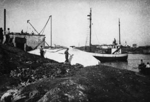 Mottak av kval på kvalstasjonen.