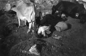 S460.168.204.-CD 06 042.jpg