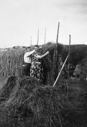 S483.172.7.CD 08 008.jpg