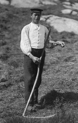 S503.172.30.CD 07 066.jpg