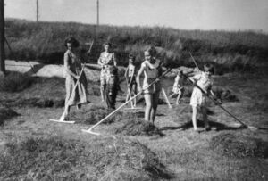 Frå slåtten på Nygård. Frå venstre Marie og Sina Husa (bnr 37), Kolbjørn (bak) og Gudveig Breivik (bnr 111), og nokre små hjelparar.