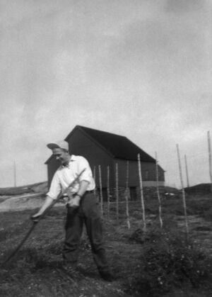 S528.172.37.CD 06 050.jpg