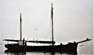 SS Colibri.jpeg