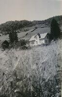 Byggåker på Eiesmyra, sett mot Knuttunet.1950.