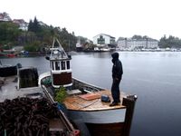 Dette er frå Florvåg, Askøy. Kløvning sitt første møte med MB «Safir».