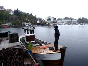 Safir i Florvåg.jpg