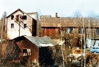 Hesteskosmia forrest, bak Nedre mølle og Spinneriet.