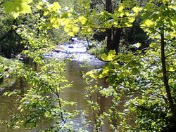 Bilde fra Kølabånn oppover Sagelva en fager vårdag.