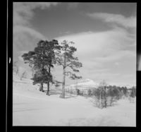 13. Saltfjell - no-nb digifoto 20150210 00215 NB MIT FNR 16924.jpg