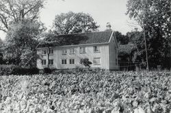 Eiendommen Saltrød. Foto: Halvor Vreim/Riksantikvaren (1953).