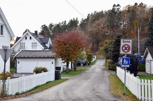 Sandefjord, Røyskattveien-1.jpg