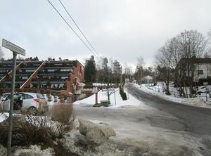 Sarabråtveien Oslo 2015.jpg